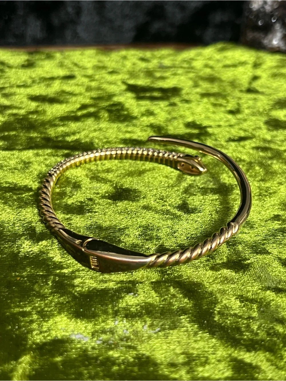 Express Snake Bracelet